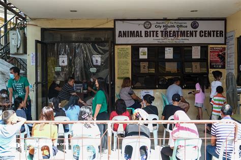 animal bite center mintal|Davao City Animal Bite Treatment Center reminds public to take rabies.